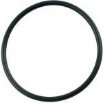 O-Ring for 1.5" pump union, Waterway