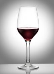 Grange Wine Glass, Premium Polycarbonate (400ml)