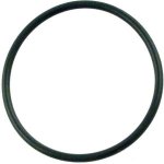 O-Ring for 2" pump union, Waterway