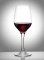 Grange Wine Glass, Premium Polycarbonate (400ml)